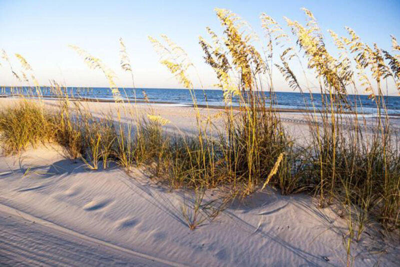 Recovered beach habitat in Prince William Sound years after the Exxon Valdez oil spill
