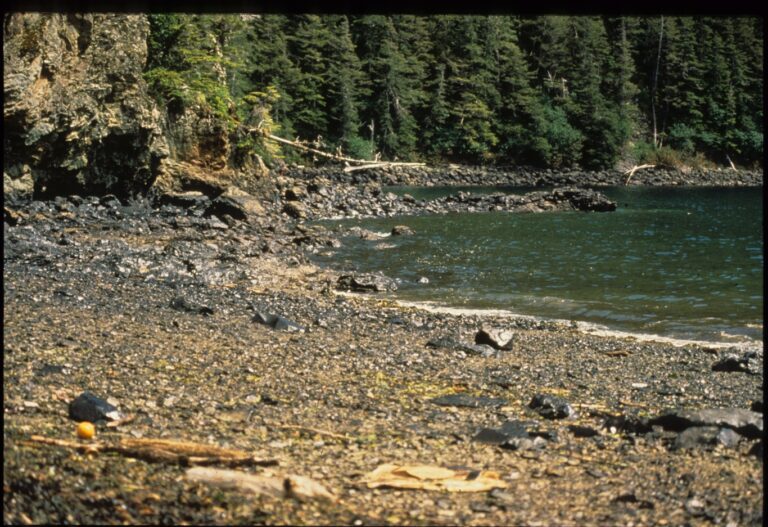 Exxon Valdez oil spill Prince William Sound Alaska 1989 environmental disaster