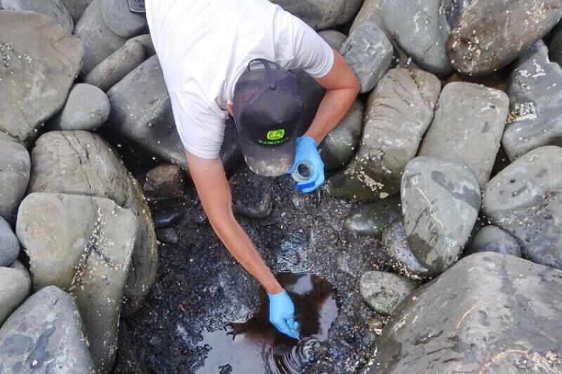 Oil-contaminated shoreline in Prince William Sound after the Exxon Valdez disaster