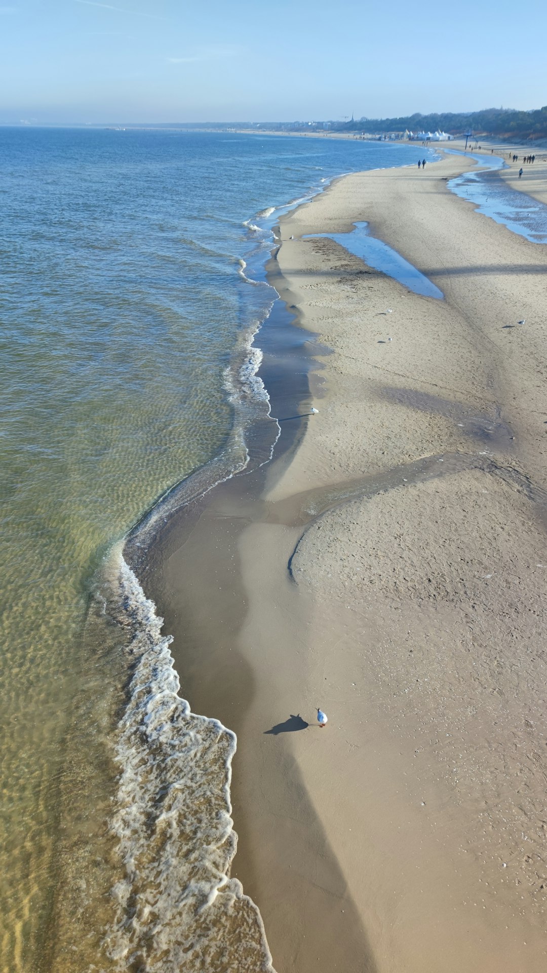 The Baltic Sea coastline, shared by Lithuania, Latvia, and Estonia