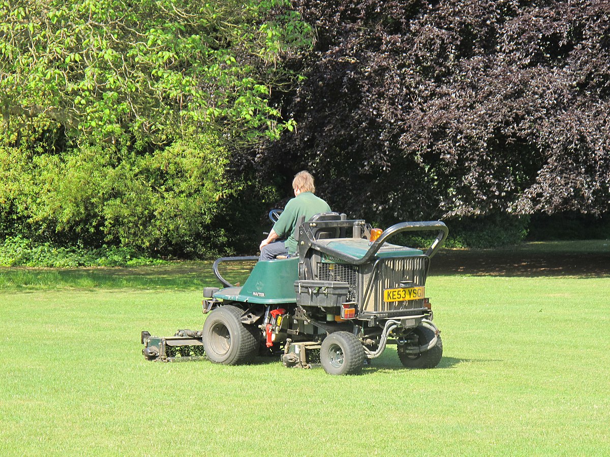 Traditional lawn mowing with a heavy wheeled mower at an English garden estate