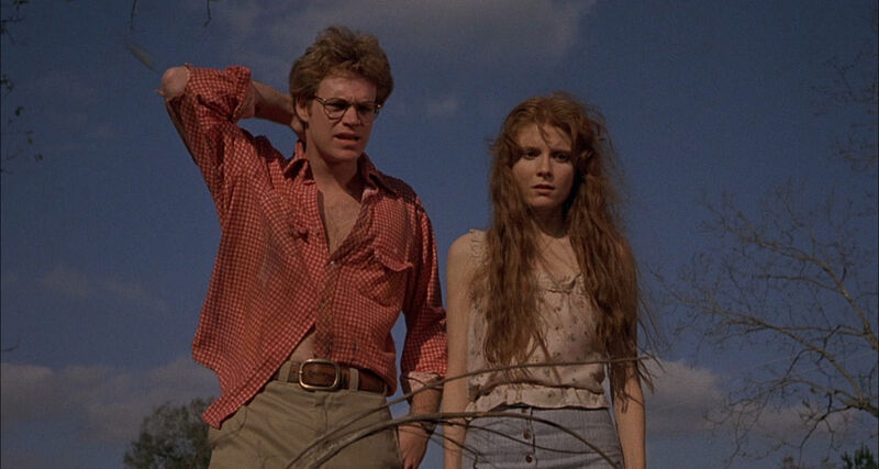 Squirm 1976 movie still from the film's chaotic climax