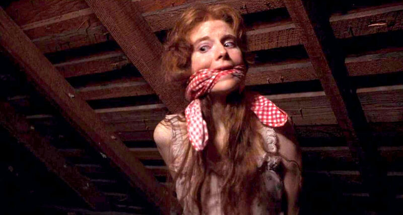 Squirm 1976 movie still showing the Gendron house during the attack