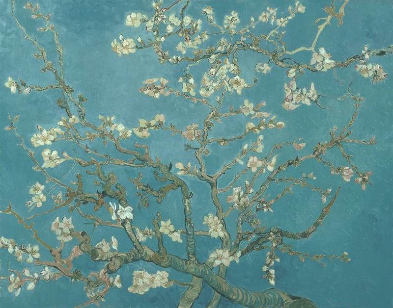 Van Gogh Almond Blossom 1890 late period masterpiece