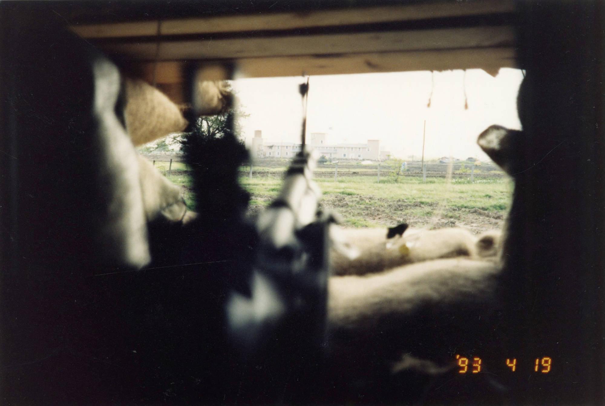 View of Branch Davidian Mount Carmel Center from FBI Sierra-1 sniper post M60 machine gun foreground
