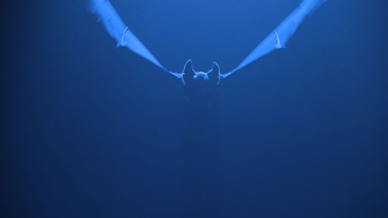 Iconic blue-lit Batman silhouette from Batman Forever 1995