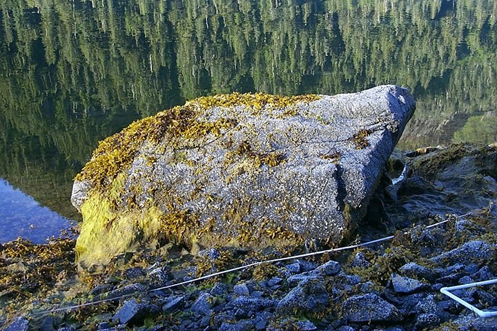 Mearns Rock recovery monitoring site Prince William Sound after the Exxon Valdez oil spill