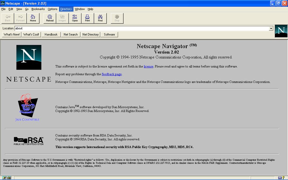 Netscape Navigator browser ruling the 90s internet
