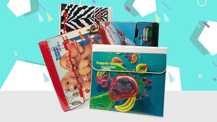 Vintage Trapper Keeper Designer Series collection with puppies Golden Gate Bridge and zebra strawberry covers