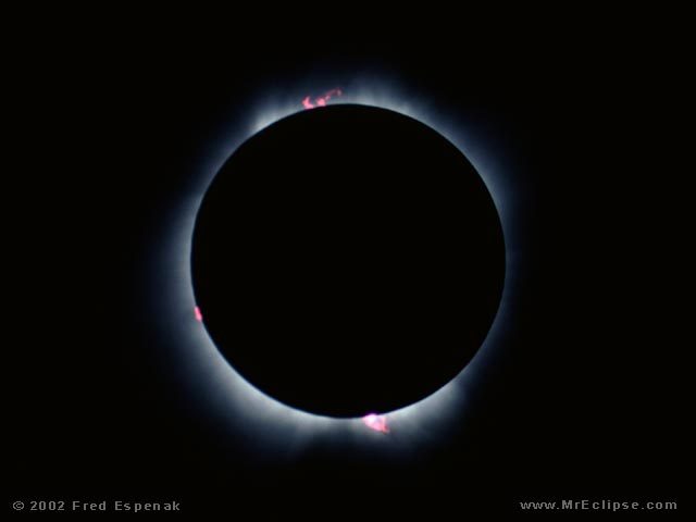 Red solar prominences ringing the moon during the 1991 total solar eclipse