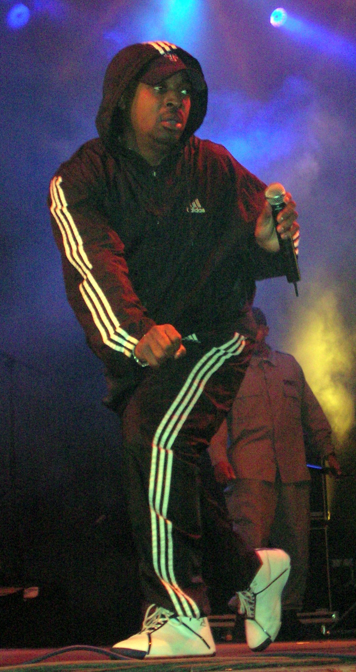 Chuck D of Public Enemy performing, whose It Takes a Nation of Millions pushed the album format forward