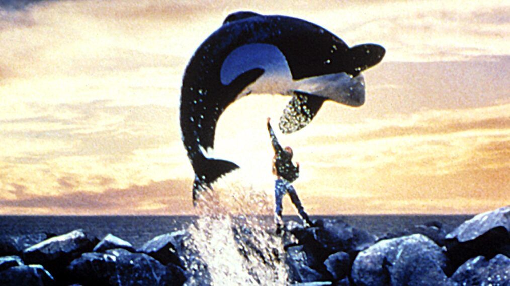 Willy the orca jumps over Jesse in the finale of Free Willy 1993