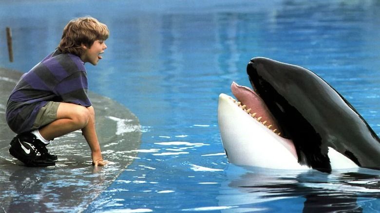 Jesse meets Willy the orca face to face in Free Willy