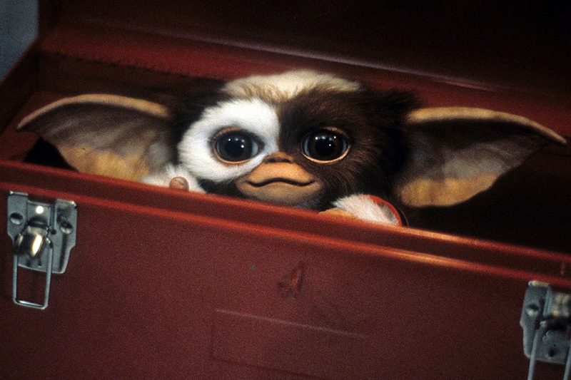 Gizmo the Mogwai from the 1984 film Gremlins