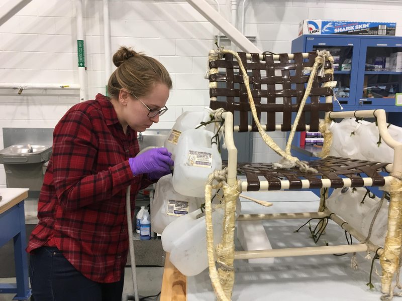 Lawn Chair Larry's actual chair being conserved at the Smithsonian Air and Space Museum