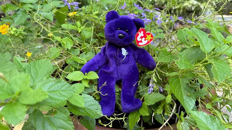 Purple Princess Diana Beanie Baby bear, the 1997 charity edition